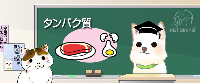 タンパク質