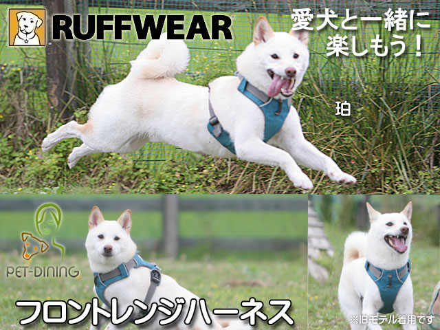 愛犬と一緒に楽しもう! フロントレンジハーネス(スタッフ珀)