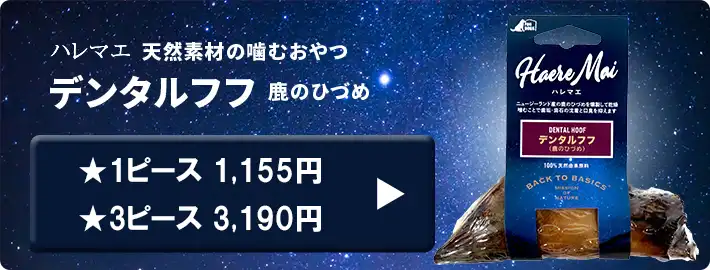 ハレマエ　デンタルフフ