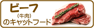牛肉（ビーフ）メイン