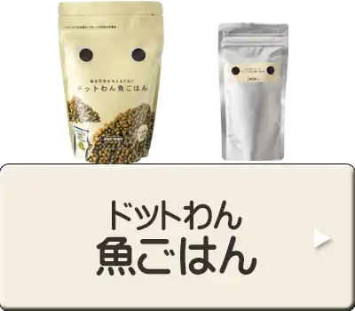 ドットわん　魚ごはん