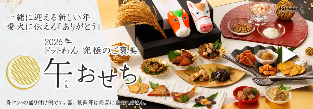 ドットわん　午おせち　予約受付中