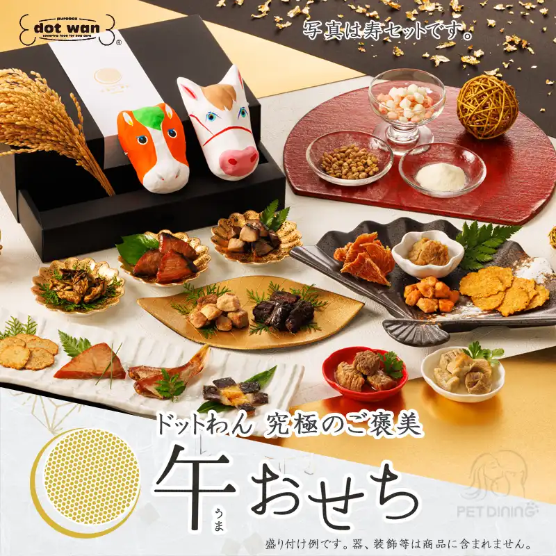 2026年午おせち盛り付け