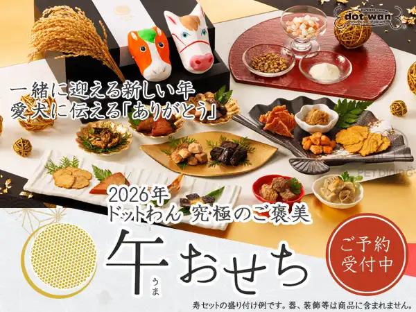 ドットわん 2026年 午おせち