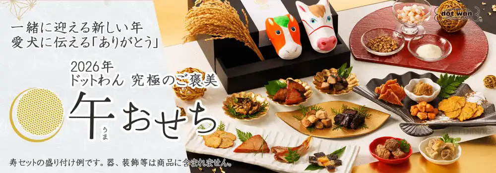 ドットわん 2026年 午おせち