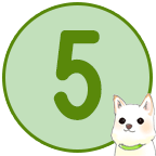 手順5