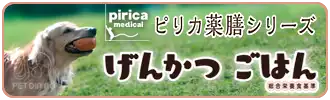 げんかつごはん