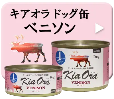 キアオラ・ドッグ缶　ベニソン