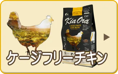 キアオラ・キャット フリーレンジチキン