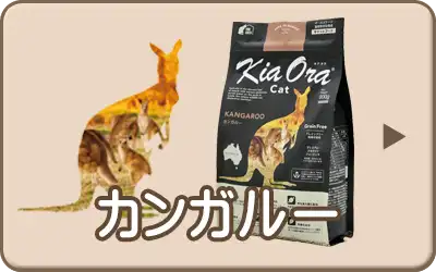 キアオラ・キャット カンガルー