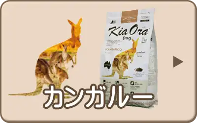 キアオラ・ドッグ カンガルー