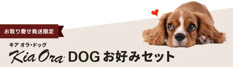 キアオラ・ドッグお好みセット