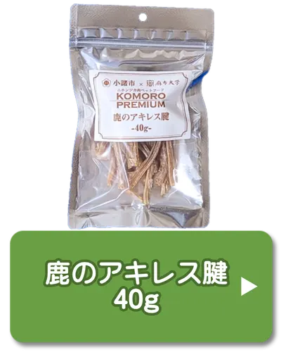 鹿のアキレス腱