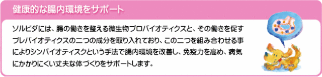ソルビダは健康的な腸内環境をサポート