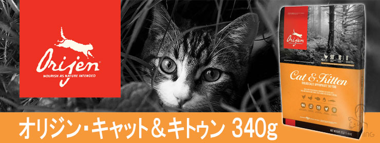 オリジン キャット&キトゥン 340g