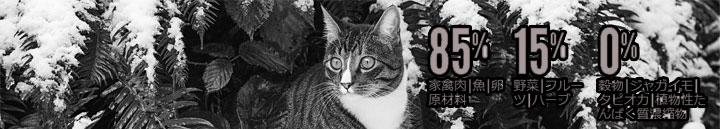 オリジン・フィット&トリム・キャット