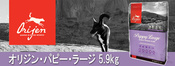 オリジン パピーラージ 5.9kg