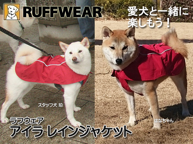 愛犬と一緒に楽しもう! アイラレインジャケット(愛犬用)