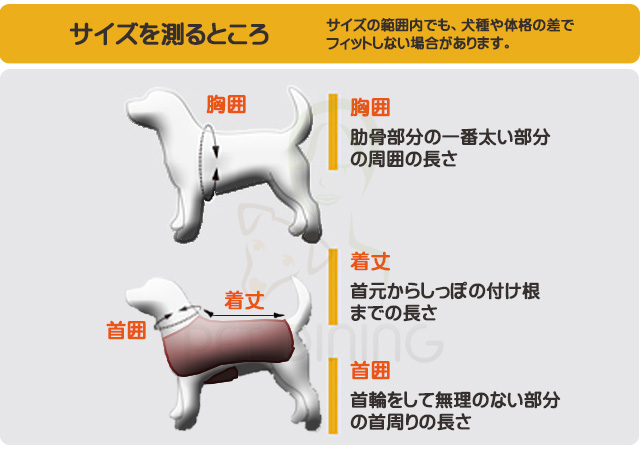 胸囲、着丈、首囲を計測します。