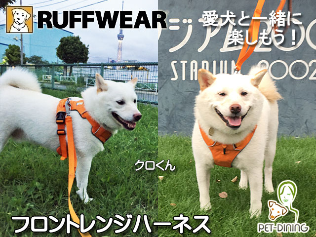 愛犬と一緒に楽しもう! フロントレンジハーネス(クロくん)