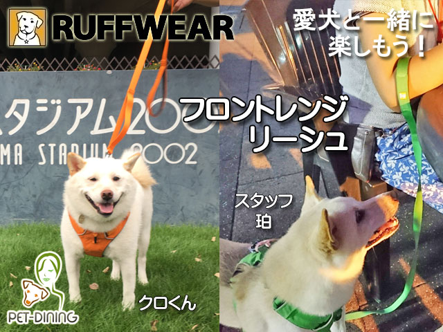 愛犬と一緒に楽しもう! フロントレンジリーシュ(クロくん、珀)