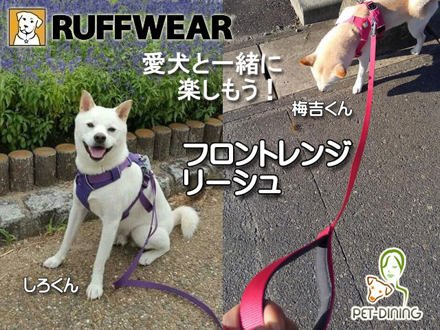 愛犬と一緒に楽しもう! フロントレンジリーシュ(梅吉くん&シロくん)
