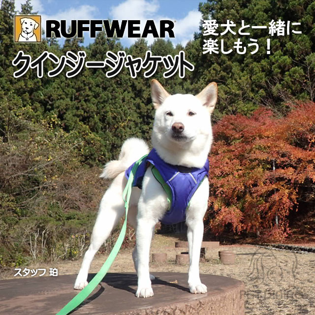 珀の着用例