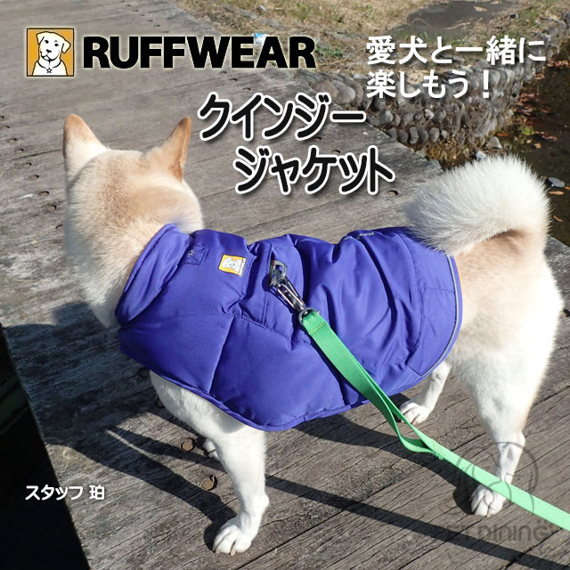 背中側の様子