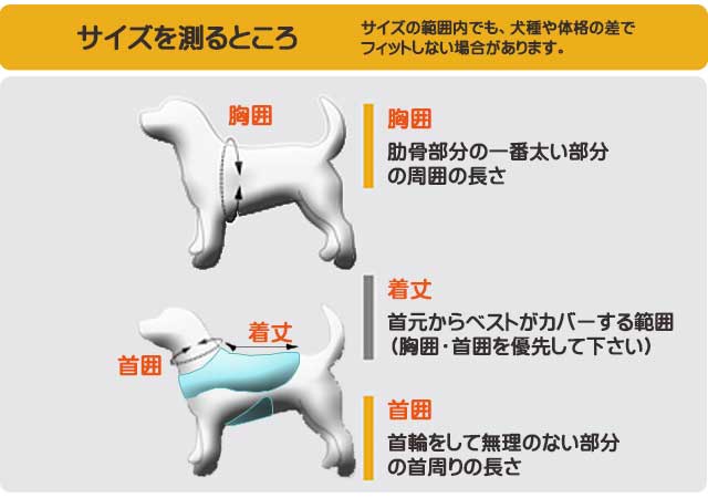 胸囲、首囲を計測します。(着丈は背丈以下であればお好みで結構です)