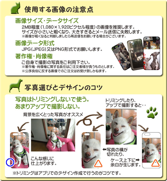 デザインに使う写真画像について