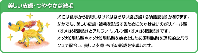 美しい皮膚・つややかな被毛