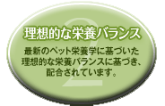 理想的な栄養バランス