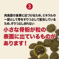 小さな骨粉が見えています。