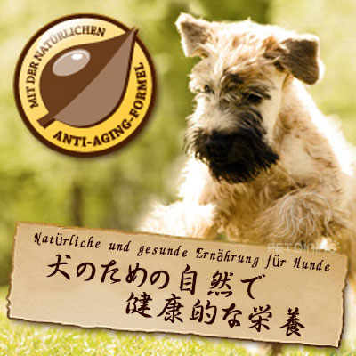 多様なタンパク濃度