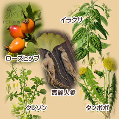 野菜・果物・ハーブや薬草などを配合