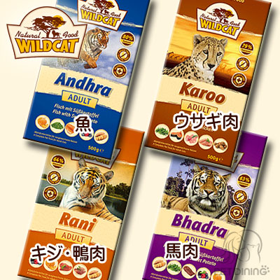 バリエーション豊かなタンパク源
